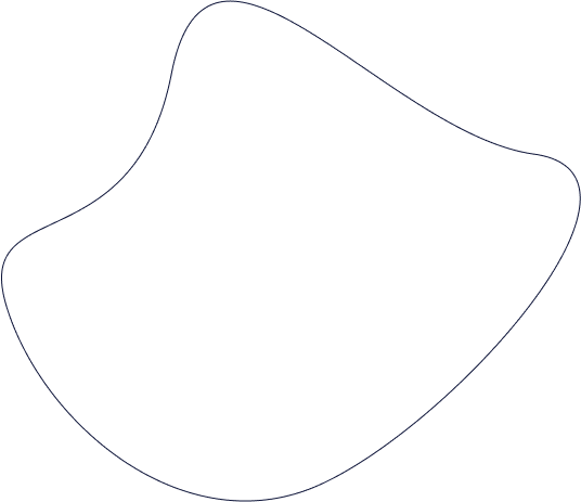 Insighify Image