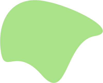 Insighify Image